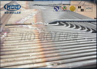 CFB Kazan ASME için Karbon Çelik Bobinler Kızdırıcı ve Yeniden Isıtıcı Nikel Bazlı İşlem